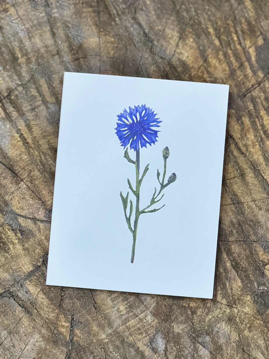 Greeting Card - Pastel Flower Range | Australian Artist