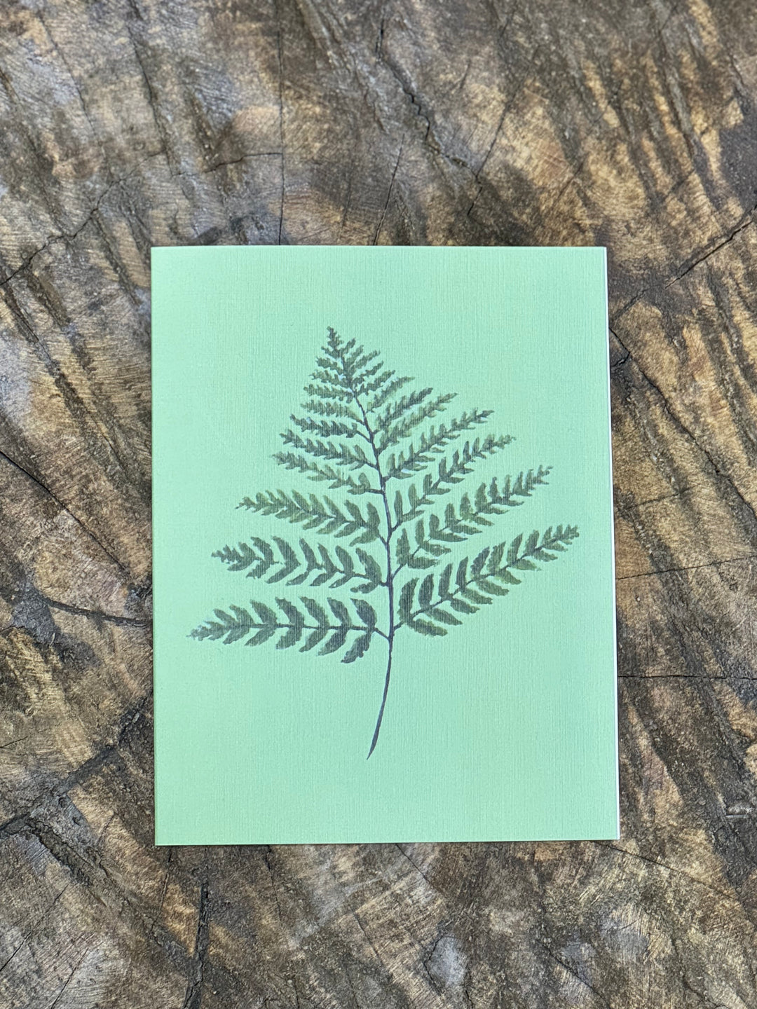 Greeting Card - Pastel Flower Range | Australian Artist