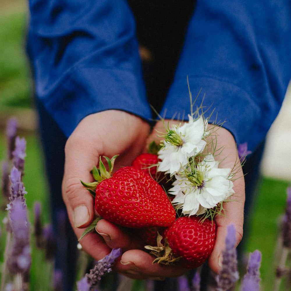 Bamboo Pyjama - Classic Set in Navy - Pyjamas