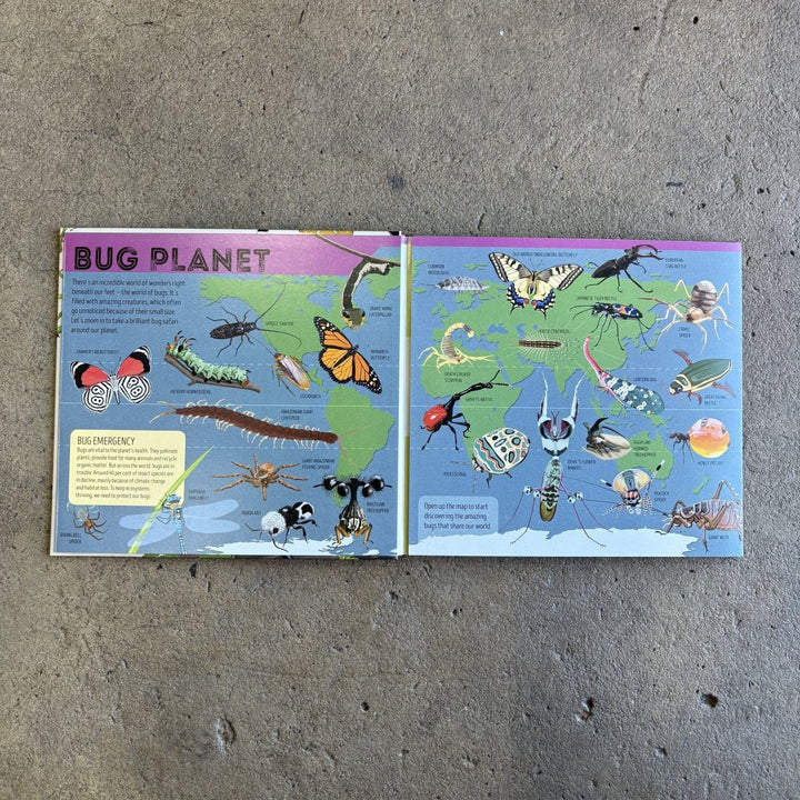Bug Atlas by Lonely Planet-Childrens Books-Book