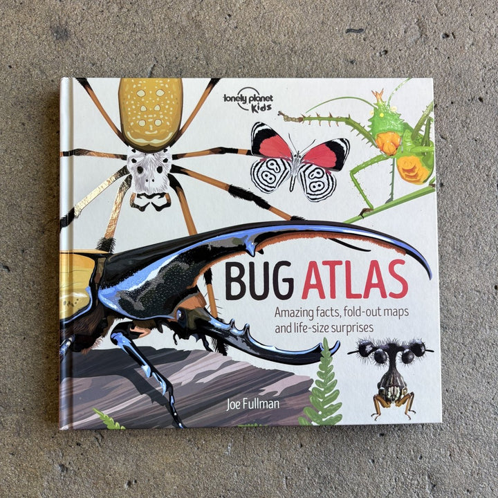 Bug Atlas by Lonely Planet-Childrens Books-Book