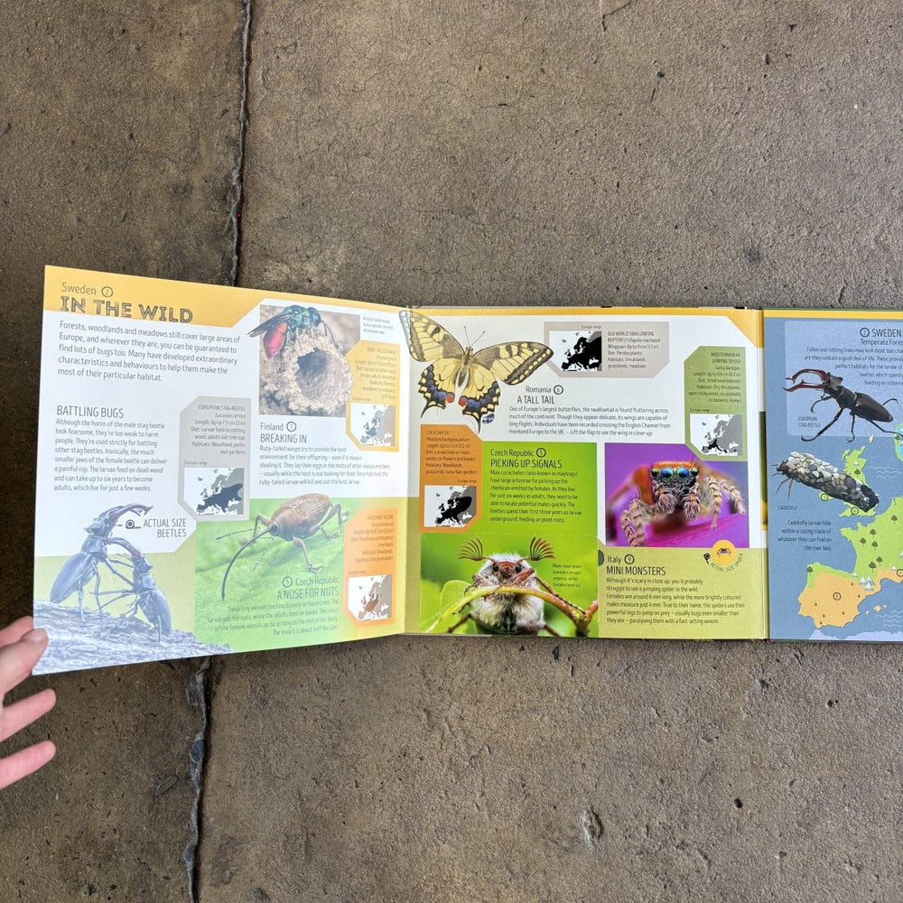 Bug Atlas by Lonely Planet-Childrens Books-Book