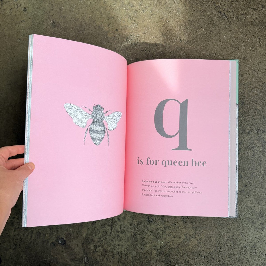 Dots by Donna - The Animal Alphabet-Childrens Books-Book