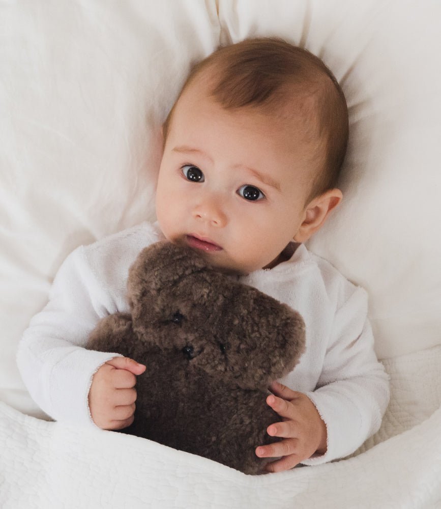 Flatout Bear - Chocolate - Toys