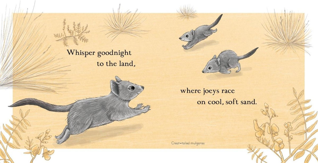 Goodnight, Joeys by Renee Treml | Kids Board Book - Childrens Books
