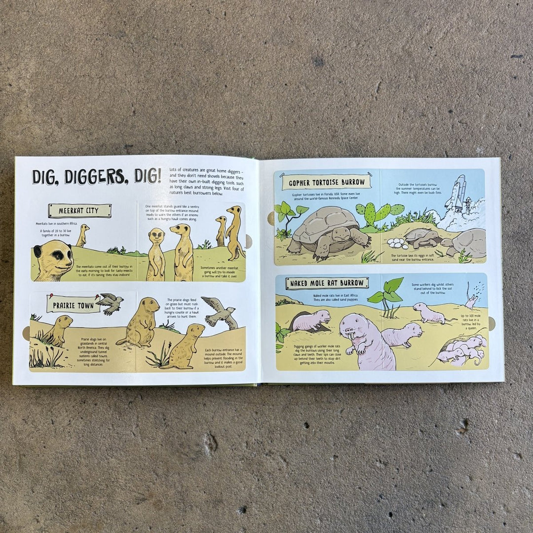 How Animals Build | Lonely Planet Kids-Childrens Books-Book