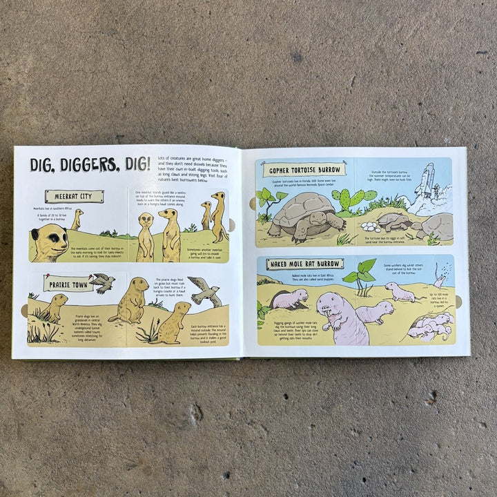 How Animals Build | Lonely Planet Kids-Childrens Books-Book