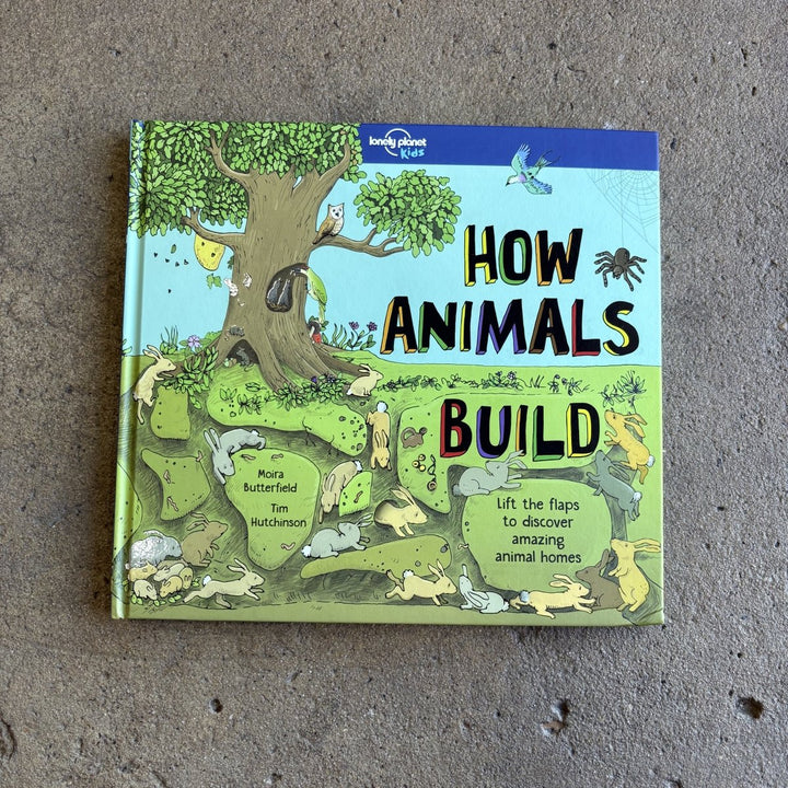 How Animals Build | Lonely Planet Kids-Childrens Books-Book