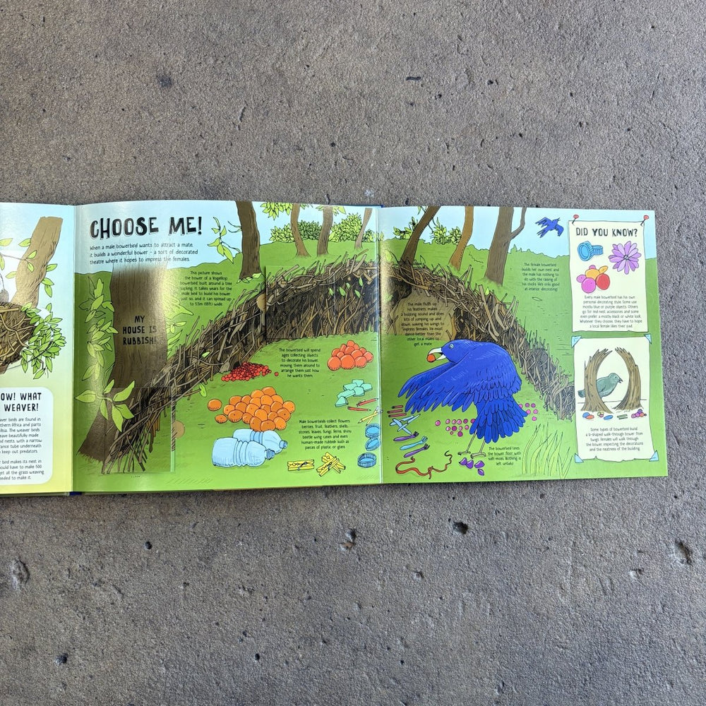 How Animals Build | Lonely Planet Kids-Childrens Books-Book