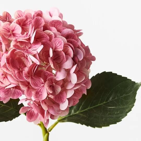 Hydrangea | Premium Artifical Flower Stem - Artificial Flowers & Greenery