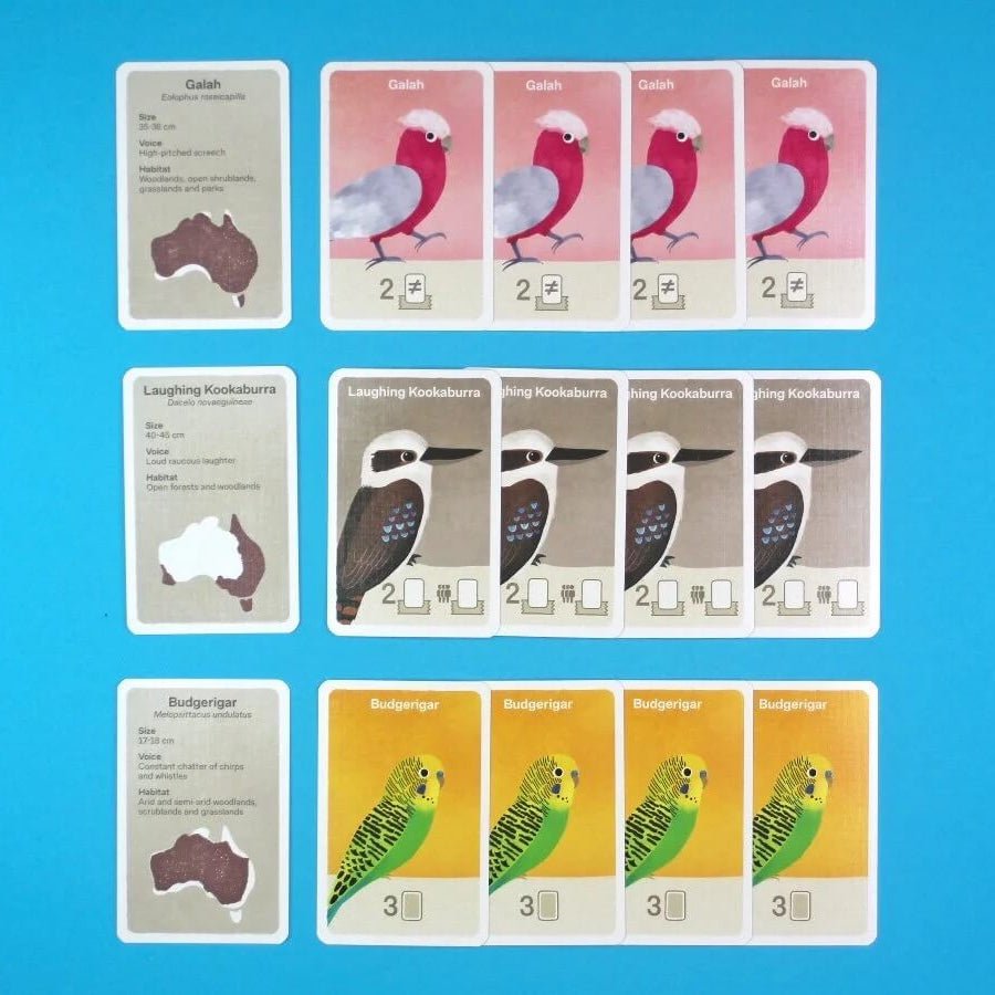 Joey Games Australian Board Games - Busy Beaks - Kids Games