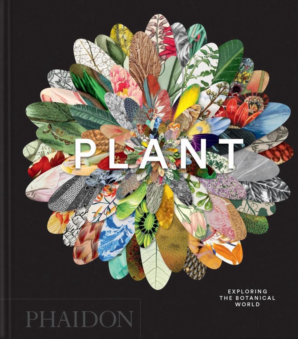 Plant: Exploring the botanical world - Cook Book - Books