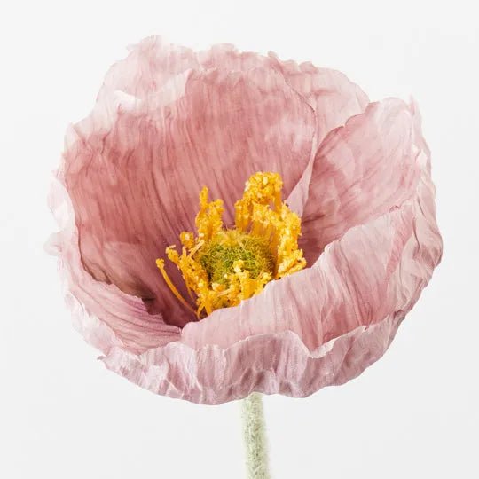 Poppy Iceland | Premium Artifical Flower Stem by Floral Interiors - Artificial Flowers & Greenery