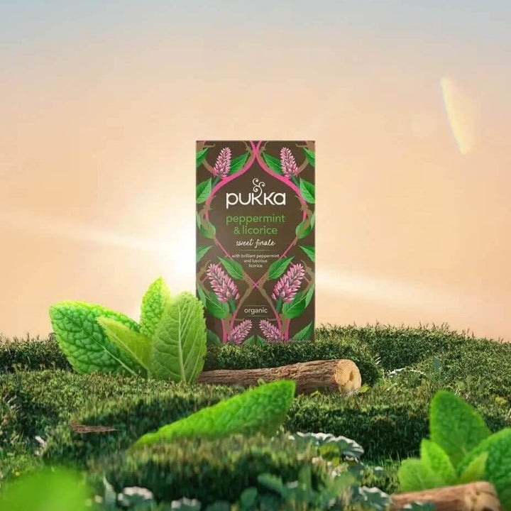 Pukka Tea: Peppermint &amp; Licorice Organic Tea-Tea-Pukka Tea