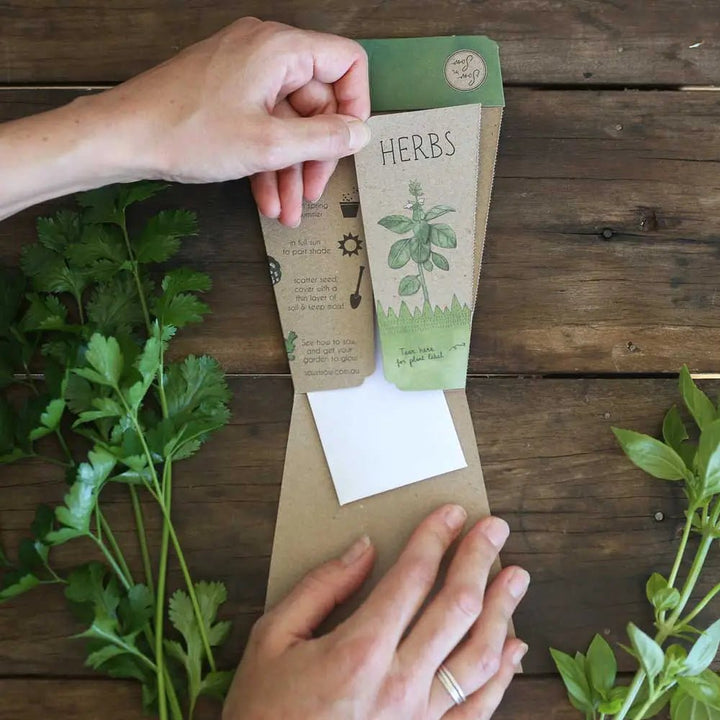 Sow n Sow Gift of Seeds - A Trio Of Herbs - Greeting Card