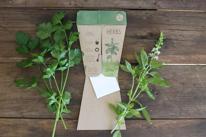 Sow n Sow Gift of Seeds - A Trio Of Herbs - Greeting Card
