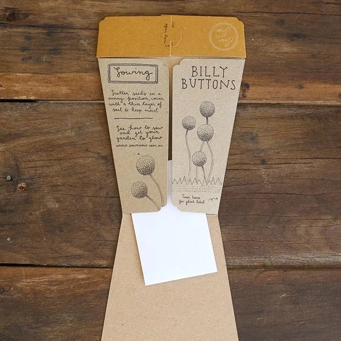 Sow n Sow Gift of Seeds - Billy Buttons - Seeds