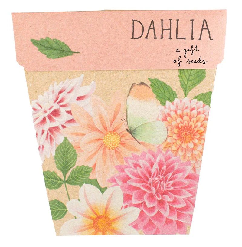 Sow n Sow Gift of Seeds - Dahlia - Seeds - Sow n Sow