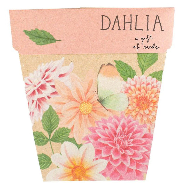 Sow n Sow Gift of Seeds - Dahlia - Seeds - Sow n Sow