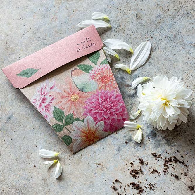 Sow n Sow Gift of Seeds - Dahlia - Seeds - Sow n Sow