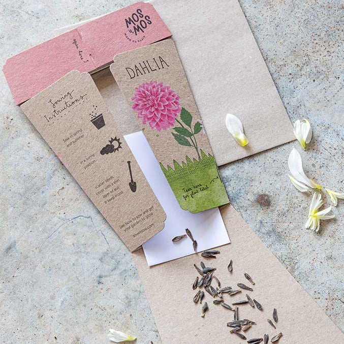 Sow n Sow Gift of Seeds - Dahlia - Seeds - Sow n Sow
