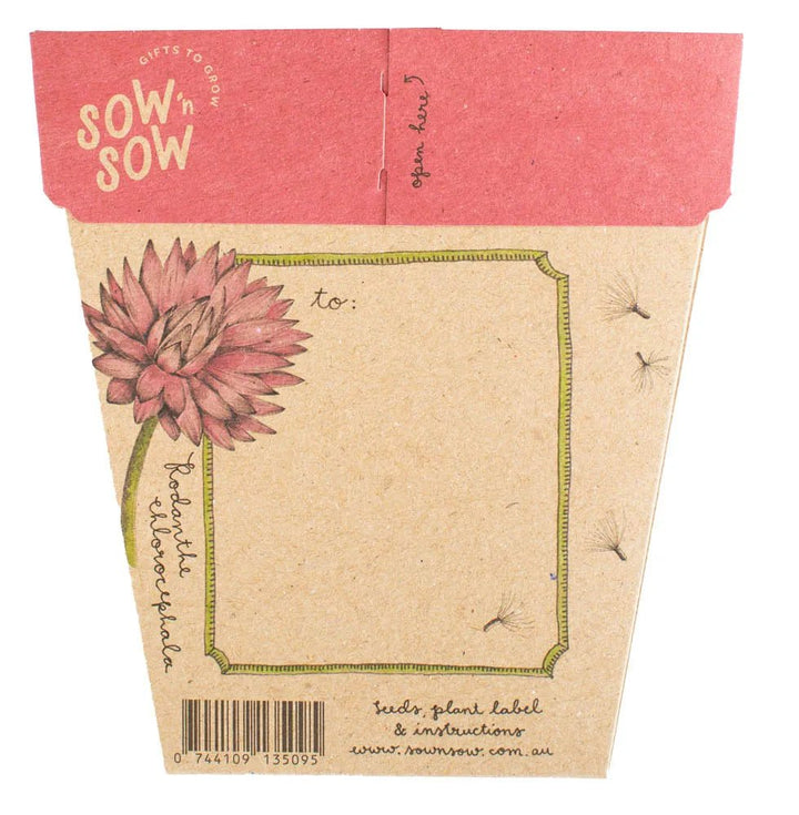 Sow n Sow Gift of Seeds - Everlasting Daisy - Seeds
