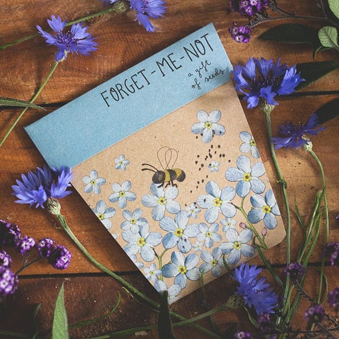 Sow n Sow Gift of Seeds - Forget Me Not - Seeds - Sow n Sow