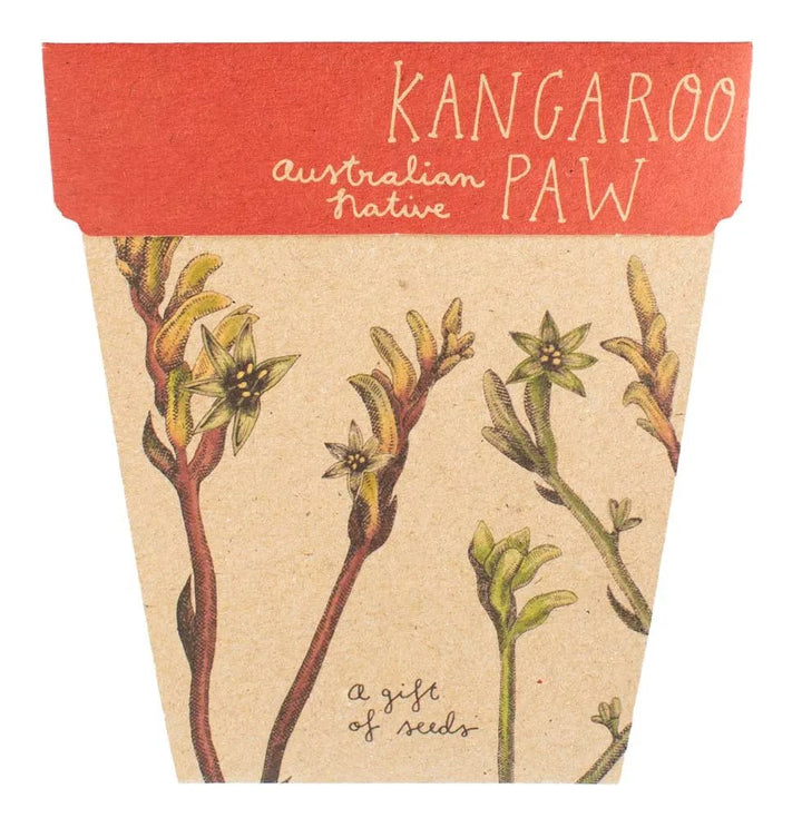Sow n Sow Gift of Seeds - Kangaroo Paw - Greeting Card