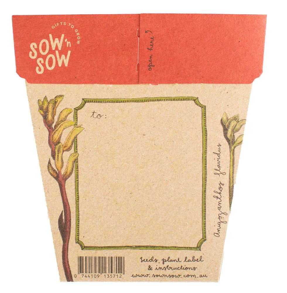 Sow n Sow Gift of Seeds - Kangaroo Paw - Greeting Card