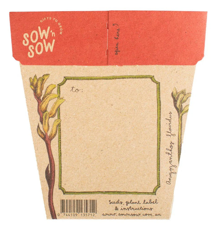 Sow n Sow Gift of Seeds - Kangaroo Paw - Greeting Card