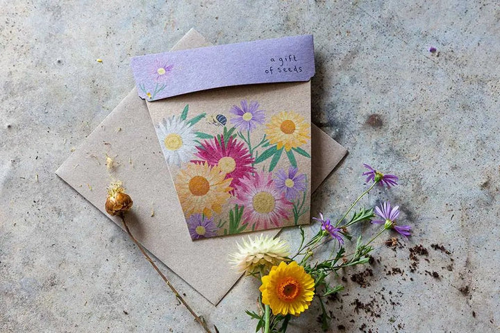 Sow n Sow | Native Daisy Gift of Seeds - Seeds