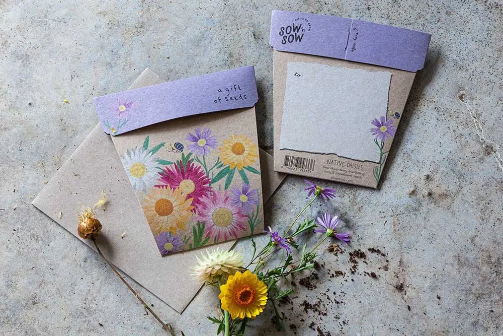 Sow n Sow | Native Daisy Gift of Seeds - Seeds