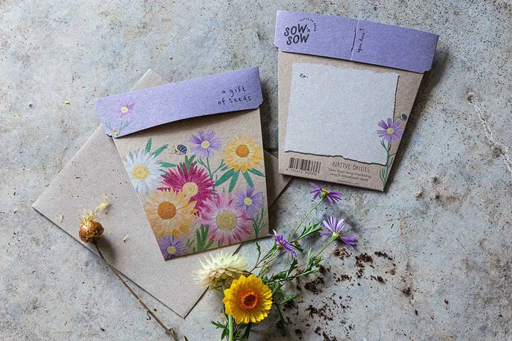 Sow n Sow | Native Daisy Gift of Seeds - Seeds