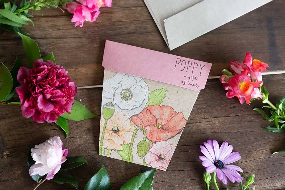 Sow n Sow Poppy Gift of Seeds - Seeds