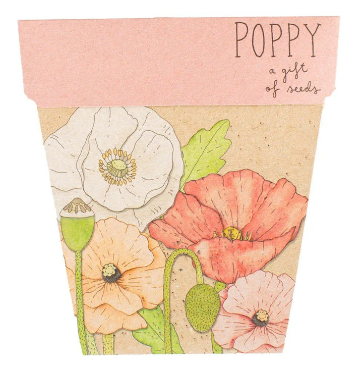 Sow n Sow Poppy Gift of Seeds - Seeds