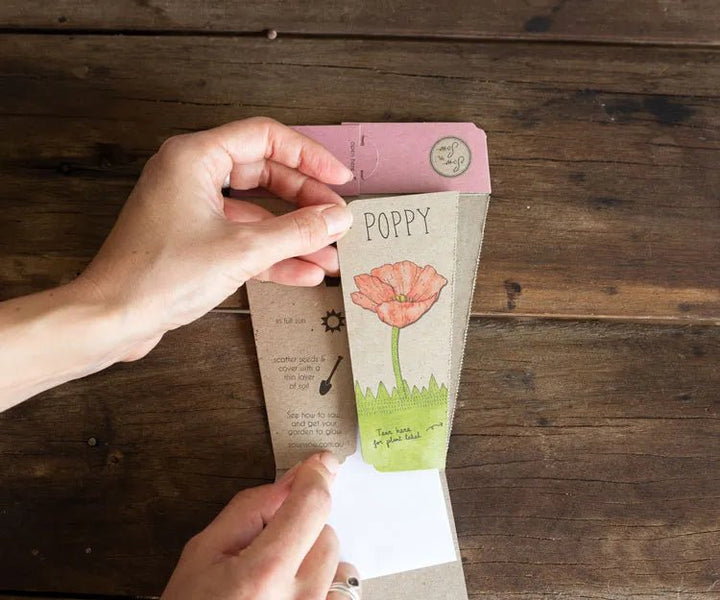 Sow n Sow Poppy Gift of Seeds - Seeds