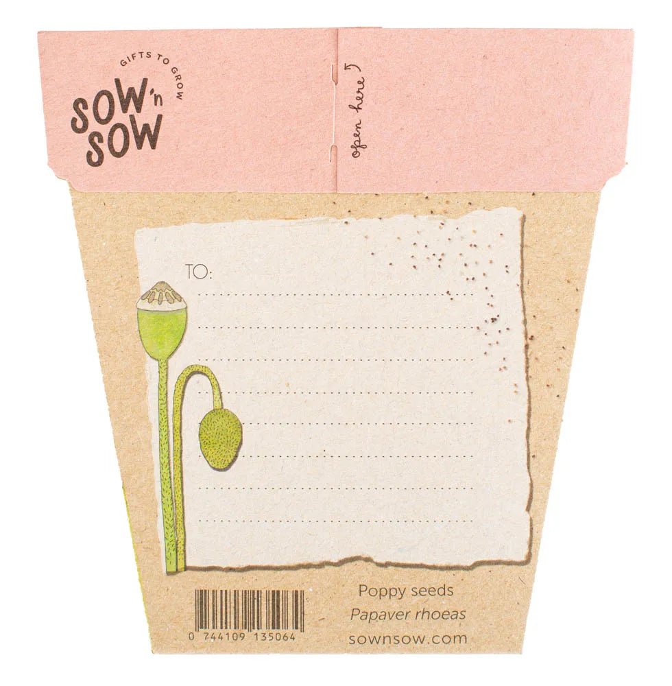 Sow n Sow Poppy Gift of Seeds - Seeds
