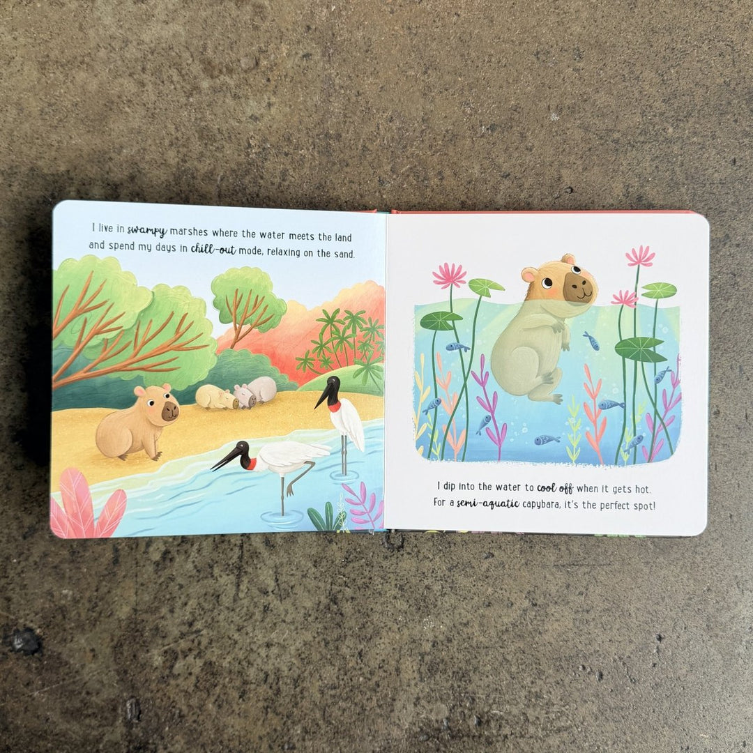 Story Time - Padded Board Book - I Love Being a Capybara-Childrens Books-Book