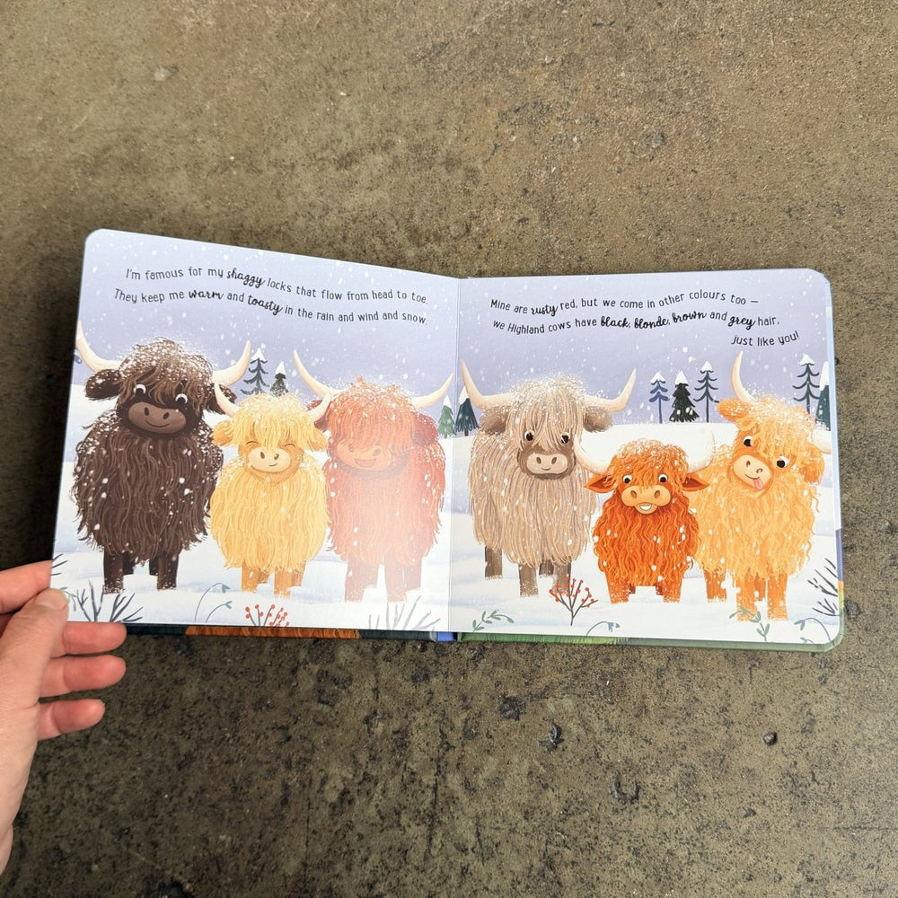Story Time - Padded Board Book - I Love Being a Highland Cow-Childrens Books-Book