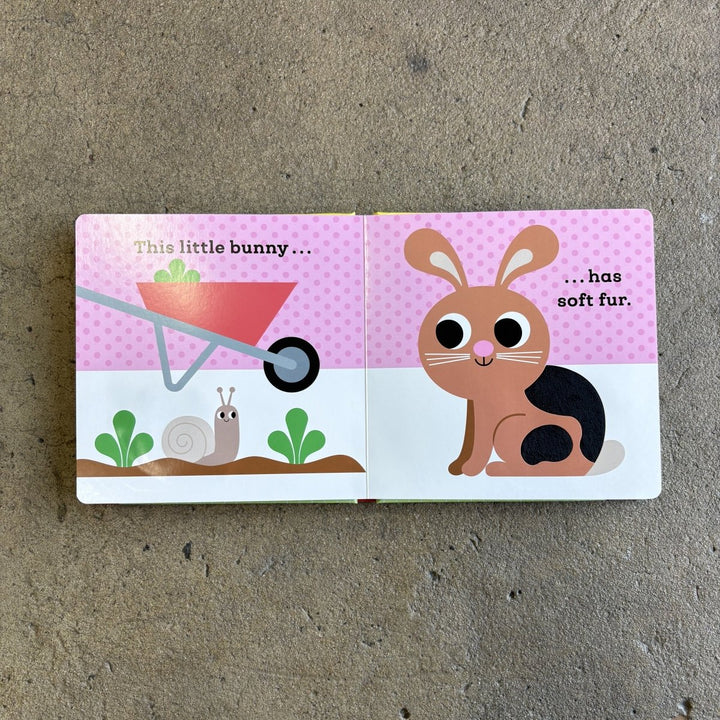 This Little Bunny | A Touch &amp; Feel Kids Book-Childrens Books-Book