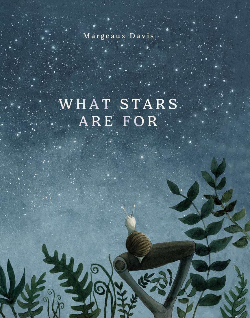 What Stars Are For | Margaux Davis - Kids Books