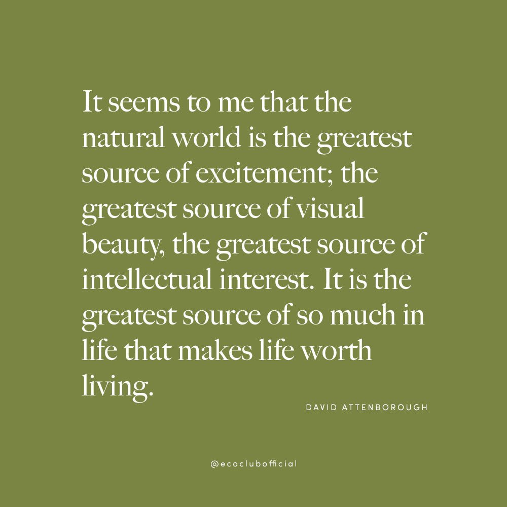 Wise Words by David Attenborough - Kids Books