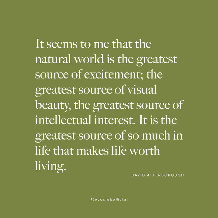 Wise Words by David Attenborough - Kids Books