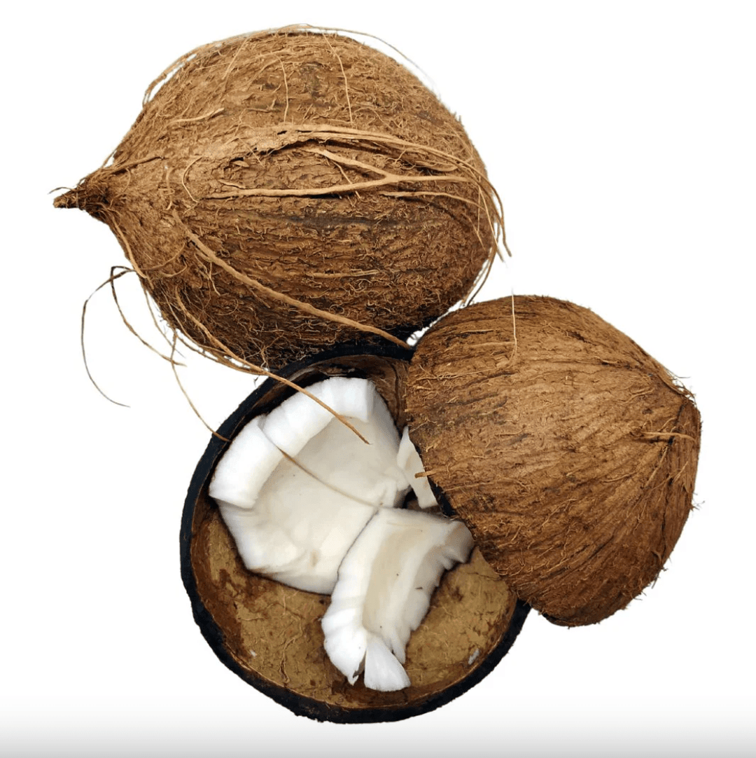 World of Oils - Coconut Oil - Bath and Body
