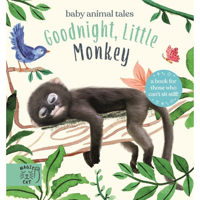 Goodnight Little Monkey - Kids Books - Book