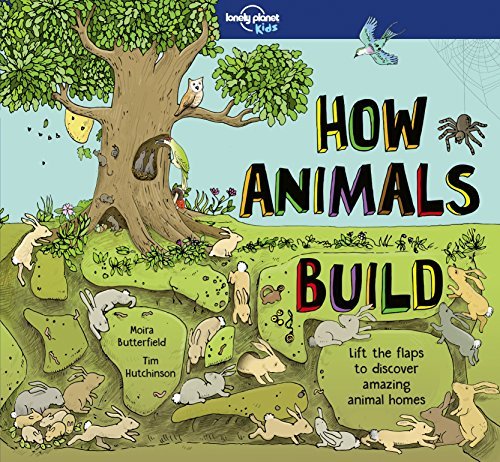 How Animals Build | Lonely Planet Kids - Book