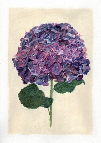 Hydrangea Print - Limited Edition | Kerrie Knuckey Art-Kerrie Knuckey Art-Print-Jade and May