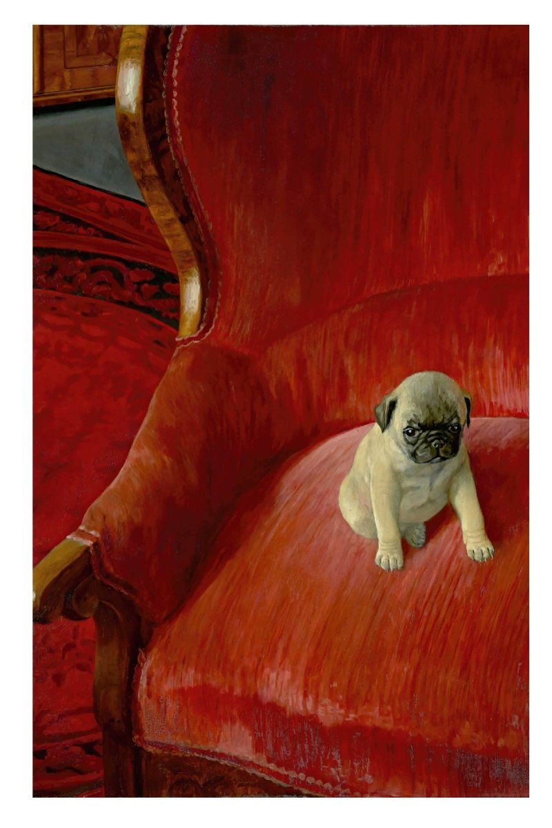 Lazybones Greeting Card - Siegfried - Greeting Card