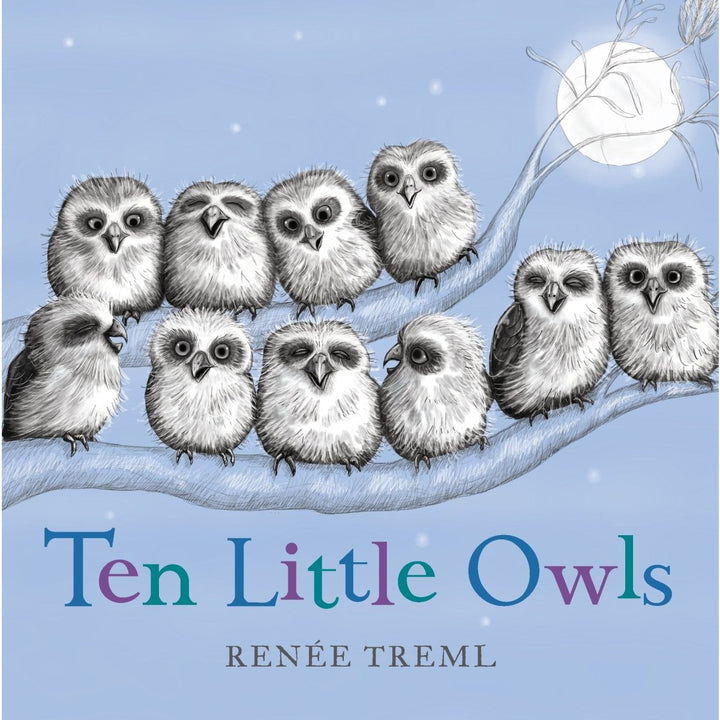 Ten Little Owls - Kids Board Book - Childrens Books