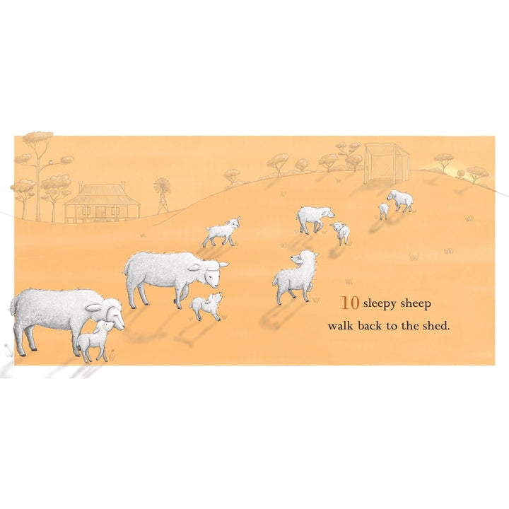 Ten Sleepy Sheep - Kids Board Book - Childrens Books